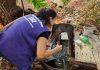 Agentes vistoriam 1.439 casas nas aldeias e encontram 493 focos do Aedes aegypti